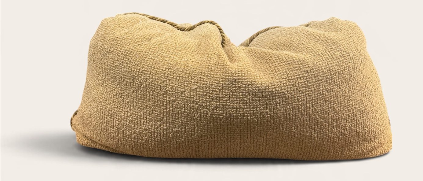 Sofa back cushion restored with a Back Booster inside